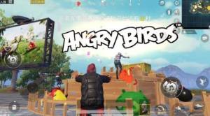 ƽӢangrybirdsʵô ըangrybirdsͼƬ3