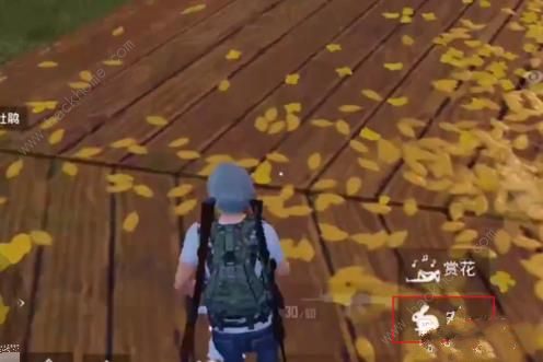 ��ƽ��Ӣ����ģʽ������ô�������棿 ���Ӱ������漼�ɼ��������ͼƬ3