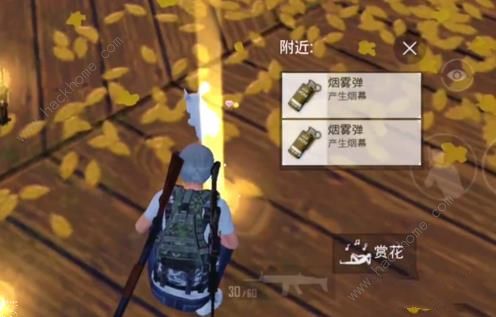 ��ƽ��Ӣ����ģʽ������ô�������棿 ���Ӱ������漼�ɼ��������ͼƬ5