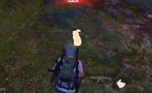 ��ƽ��Ӣ����ģʽ������ô�������棿 ���Ӱ������漼�ɼ��������ͼƬ7