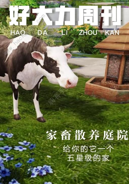 ֮ͥԺ칥 ȻͥԺ켼ͼƬ6