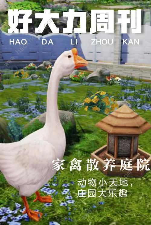 ֮ͥԺ칥 ȻͥԺ켼ͼƬ7