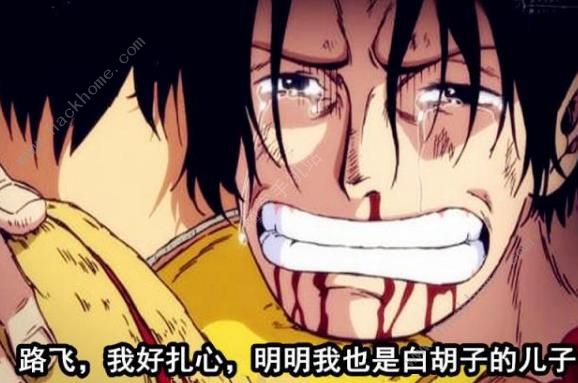 ������ȼ����־������˹��������ô���� ������˹�������Ƽ�ͼƬ2