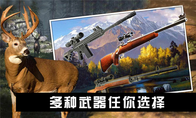 缤[֙CdD1: