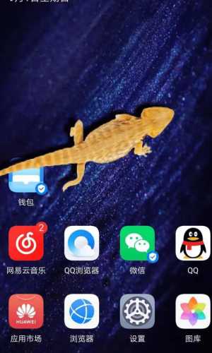 ؈IMappD2
