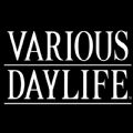 Ԫճ׿棨Various Daylife v1.0