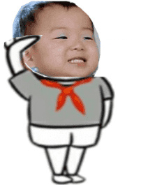 抖音升旗表情包全套高清完整版app下载v10