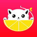 èappٷ v1.0