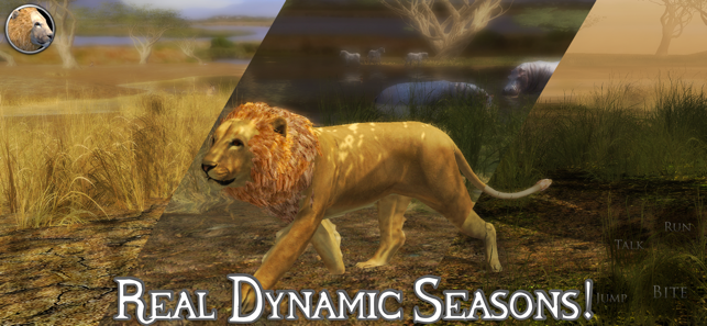 Ultimate Lion Simulator 2ϷͼƬ2