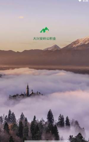 大兴安岭公积金查询个人账户官方图片1