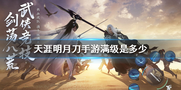 天涯明月刀手游满级多少 怎么快速达到满级