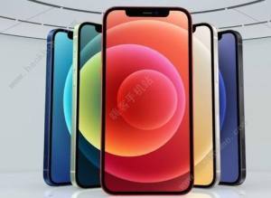 iPhone12Ď׷Nɫ iPhone12ЩDƬ2
