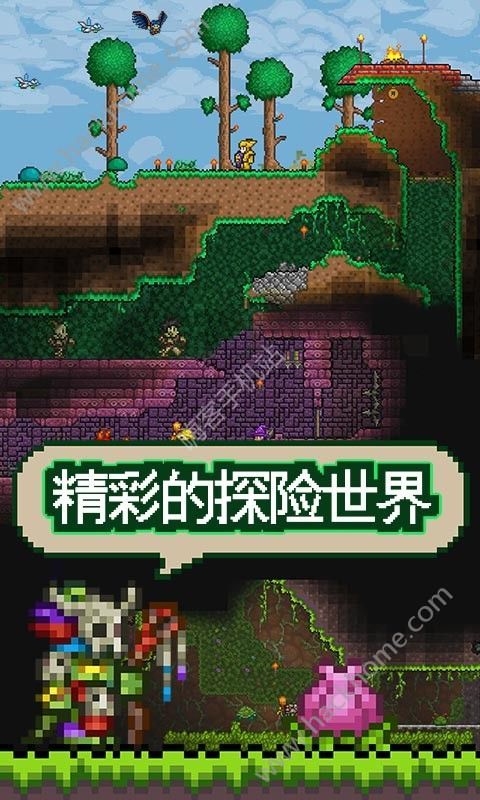 terraria1.4.4ʵ°汾ͼ3: