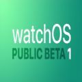 watchOS7.1beta4