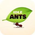 Idle Ants app