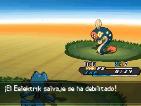 NDSڴֳ¶Ϸͼ1: