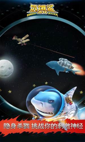 IMж2024׿D3