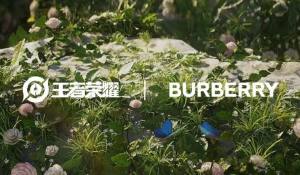 ҫͱƤĸӢ۵ BurberryͱƤЧͼƬ1