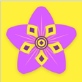 ������app�ֻ��� v3.7.2