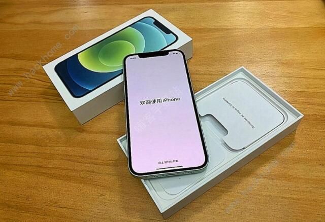 iOS14.3ʲN OIOS14.3ݏ[ҕl][D]DƬ1