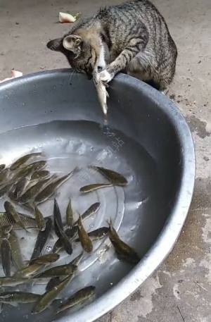 Ԃ~̫y˳̎Y Ԃ~̫y˸DȫDƬ1