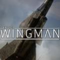 ŻƻsteamѰ棨Project Wingman v1.0.0