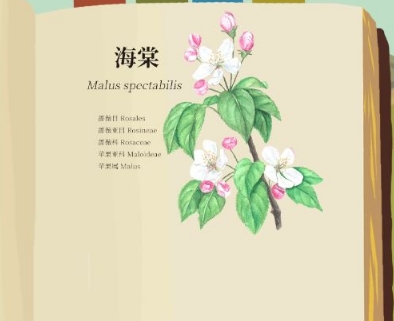 老农种树游戏图鉴大全 所有植物花朵种类总汇