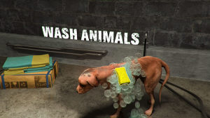 Animal ShelterϷͼ3