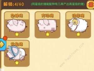 옷BiٍX ٍXɽDƬ3