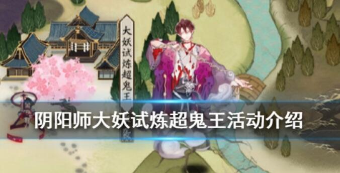 ����ʦ������������� ���������򷨽������