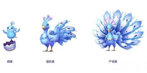 QQ�ɳ����ο�ȸ����������ʲô ��ȸ�������ܽ���