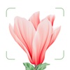 Blossom app v1.0