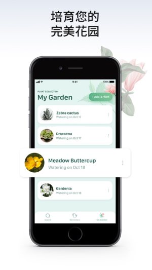 Blossom appD2