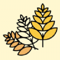 appذװ v1.1.1.3