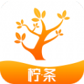 lappܛd V84.1.6