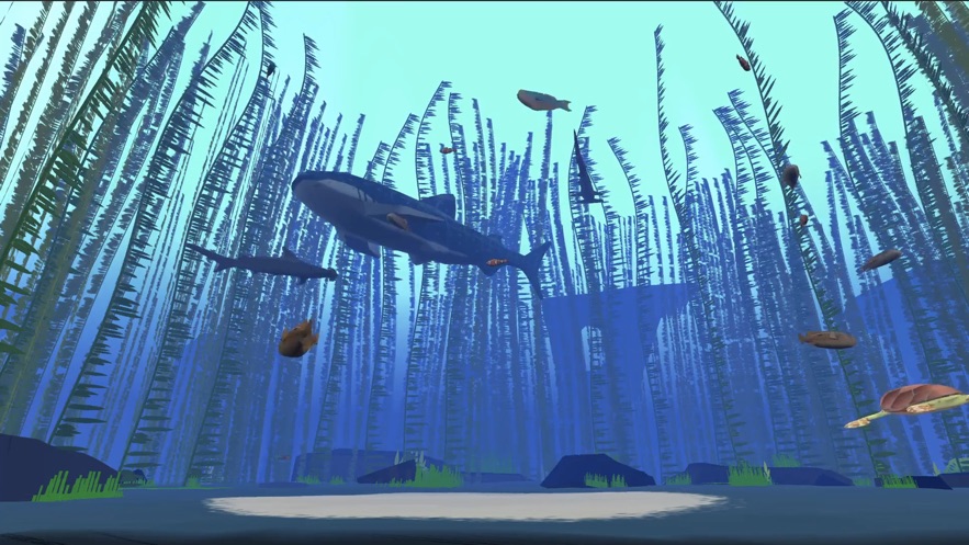 NASA NeMO NetϷİͼ1: