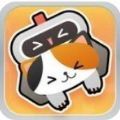app v2.0.12