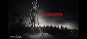 scp6789Ϸͼ3