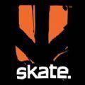Skate EvaluationϷٷ° v1.0