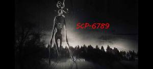 scp6782ֻϷİͼƬ1