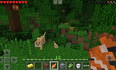 ҵMinecraftH1.16.20.50ҰD1: