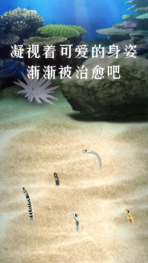 B@[h氲׿dDƬ1