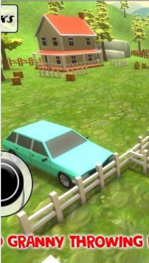 神奇的老奶奶游戏下载图片1