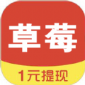 草莓看点app安卓版下载 v0.2.62
