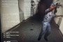 SCPʧЧd֙CDƬ1