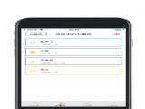 Сapp v1.0