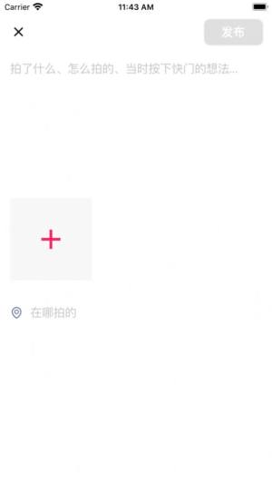NzappD1