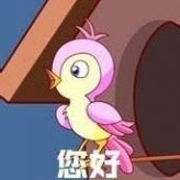 布谷鸟图片真实照片 2020082511002434071.jpg
