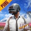 PUBG MOBILEW؈D