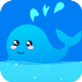 ����ʥ���ֻ�app���� v1.0.1.8